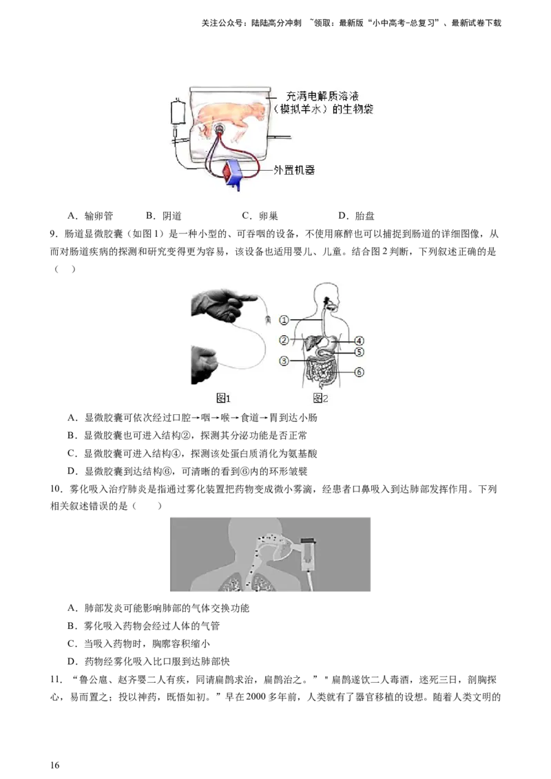 热点突破03人体生理活动模型构建（讲练）（原卷版）_02中考总复习（2026版更新中）_08-生物-中考总复习_2025中考复习资料_2025中考二轮课件ppt+讲义+练习生物_讲义+练习