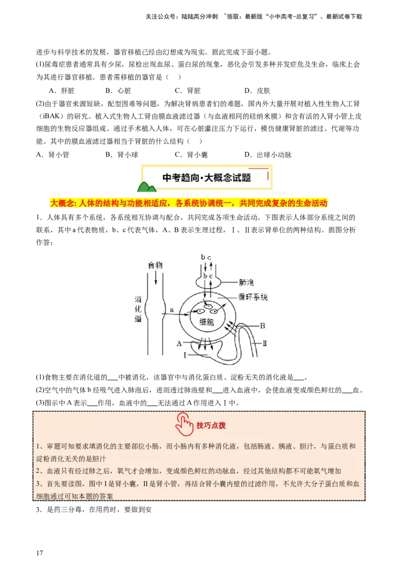 热点突破03人体生理活动模型构建（讲练）（原卷版）_02中考总复习（2026版更新中）_08-生物-中考总复习_2025中考复习资料_2025中考二轮课件ppt+讲义+练习生物_讲义+练习