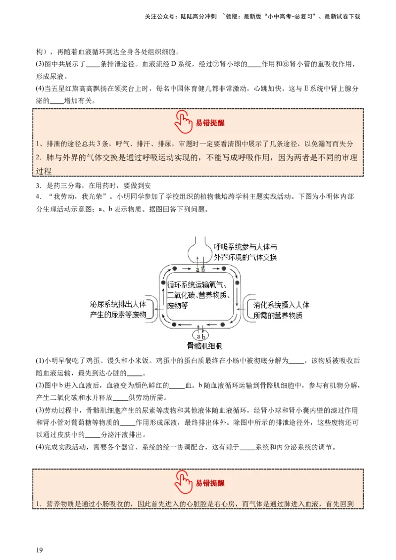 热点突破03人体生理活动模型构建（讲练）（原卷版）_02中考总复习（2026版更新中）_08-生物-中考总复习_2025中考复习资料_2025中考二轮课件ppt+讲义+练习生物_讲义+练习