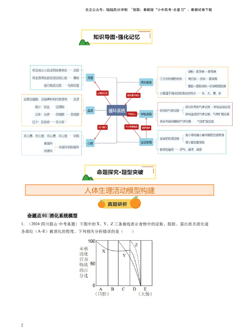 热点突破03人体生理活动模型构建（讲练）（原卷版）_02中考总复习（2026版更新中）_08-生物-中考总复习_2025中考复习资料_2025中考二轮课件ppt+讲义+练习生物_讲义+练习