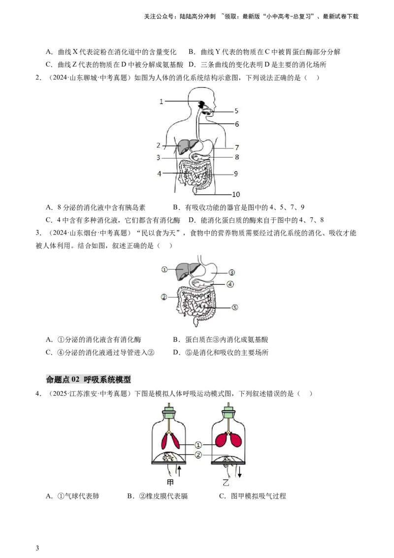 热点突破03人体生理活动模型构建（讲练）（原卷版）_02中考总复习（2026版更新中）_08-生物-中考总复习_2025中考复习资料_2025中考二轮课件ppt+讲义+练习生物_讲义+练习