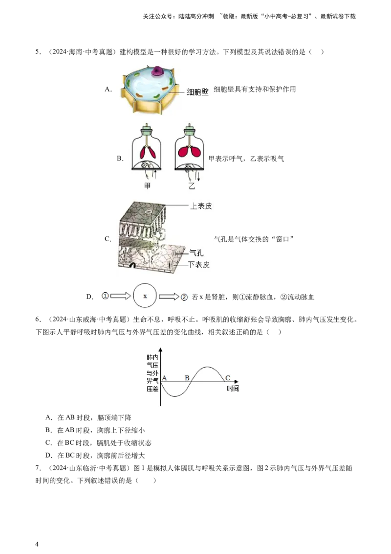 热点突破03人体生理活动模型构建（讲练）（原卷版）_02中考总复习（2026版更新中）_08-生物-中考总复习_2025中考复习资料_2025中考二轮课件ppt+讲义+练习生物_讲义+练习