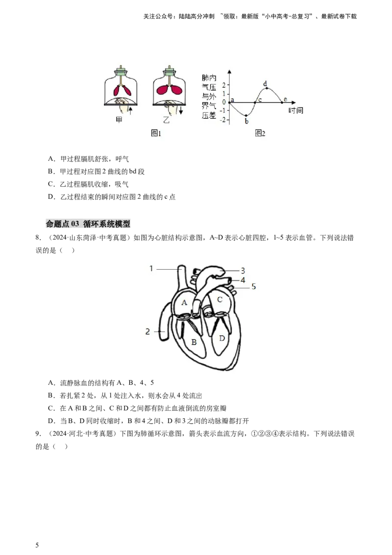 热点突破03人体生理活动模型构建（讲练）（原卷版）_02中考总复习（2026版更新中）_08-生物-中考总复习_2025中考复习资料_2025中考二轮课件ppt+讲义+练习生物_讲义+练习