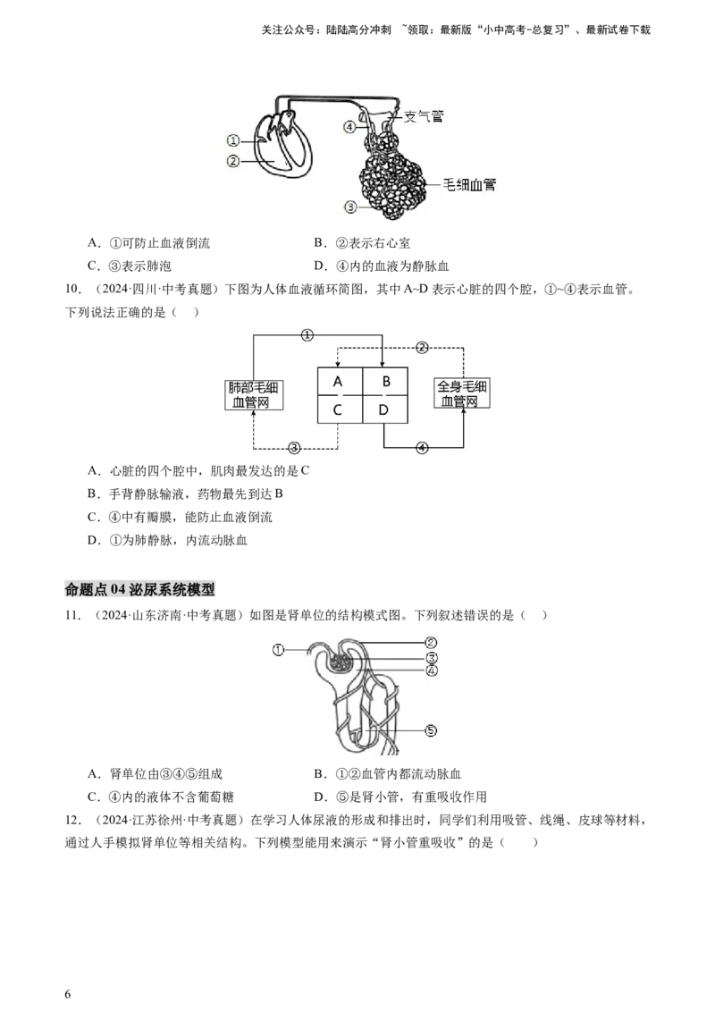 热点突破03人体生理活动模型构建（讲练）（原卷版）_02中考总复习（2026版更新中）_08-生物-中考总复习_2025中考复习资料_2025中考二轮课件ppt+讲义+练习生物_讲义+练习