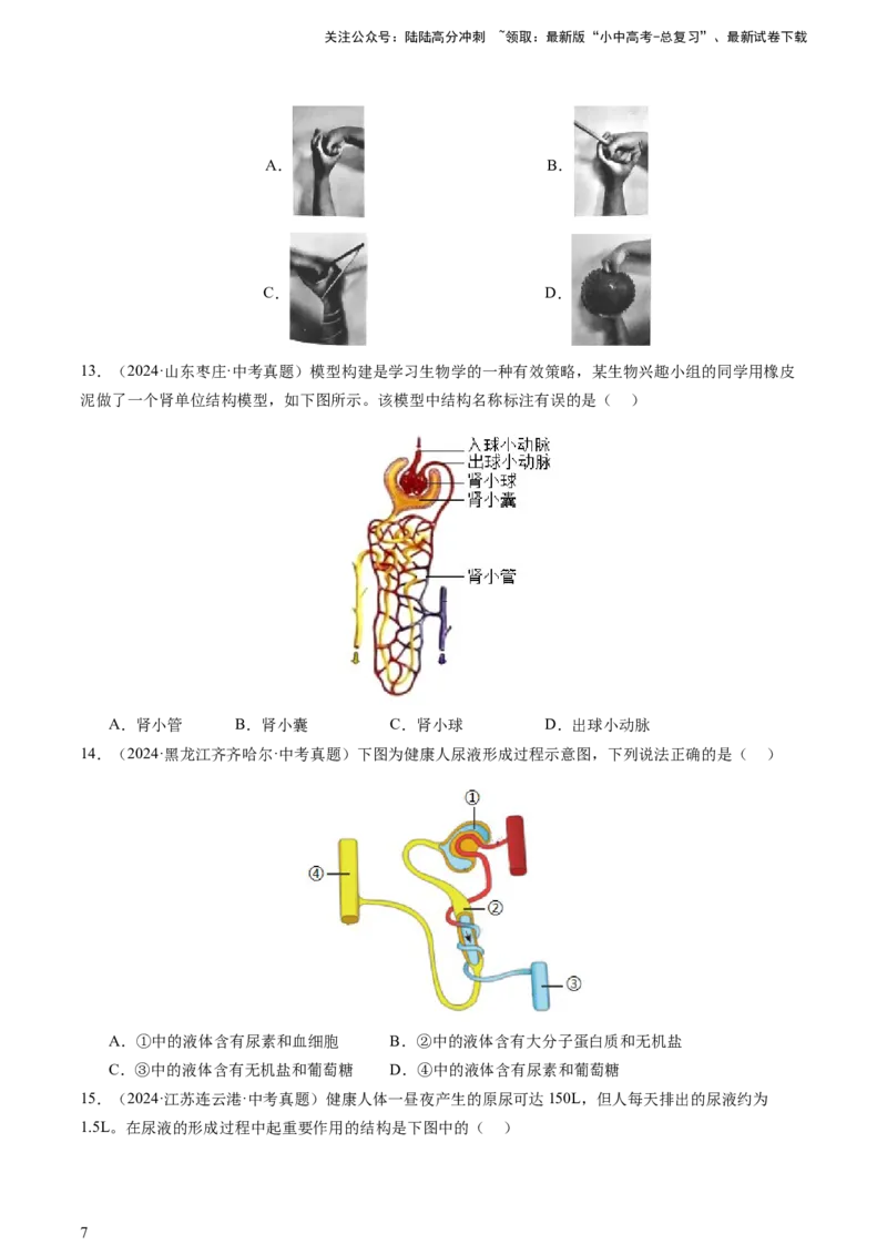 热点突破03人体生理活动模型构建（讲练）（原卷版）_02中考总复习（2026版更新中）_08-生物-中考总复习_2025中考复习资料_2025中考二轮课件ppt+讲义+练习生物_讲义+练习