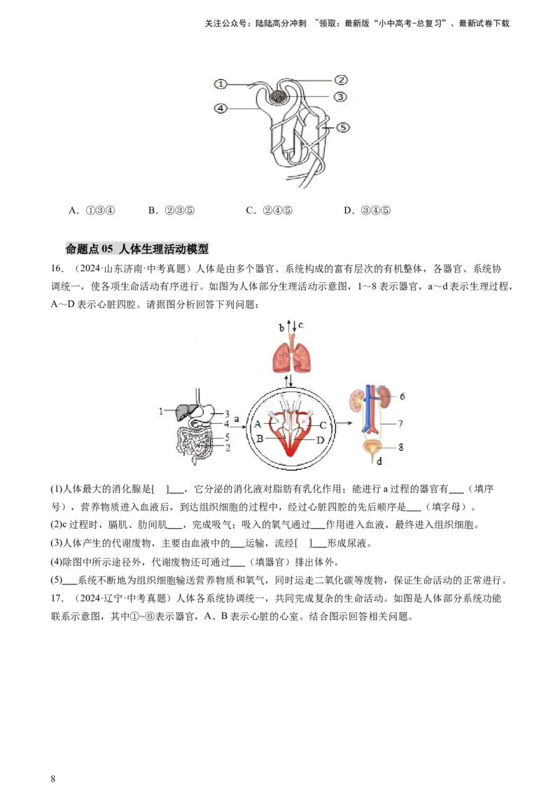 热点突破03人体生理活动模型构建（讲练）（原卷版）_02中考总复习（2026版更新中）_08-生物-中考总复习_2025中考复习资料_2025中考二轮课件ppt+讲义+练习生物_讲义+练习