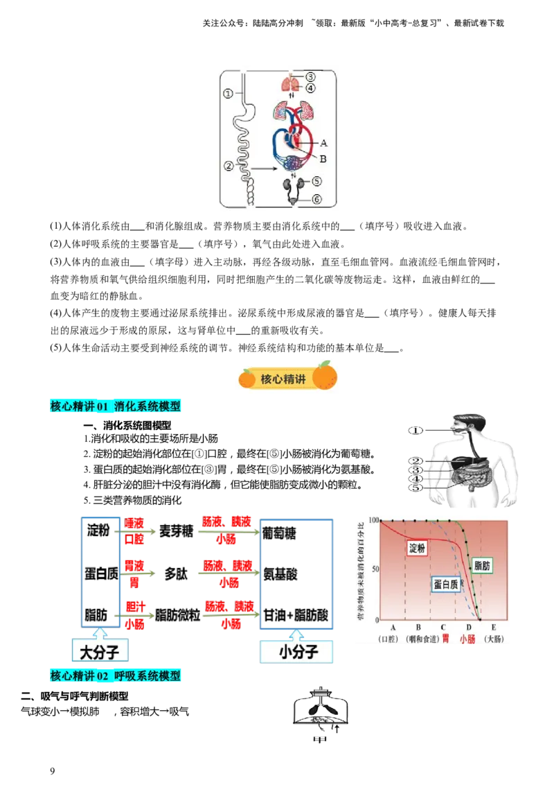 热点突破03人体生理活动模型构建（讲练）（原卷版）_02中考总复习（2026版更新中）_08-生物-中考总复习_2025中考复习资料_2025中考二轮课件ppt+讲义+练习生物_讲义+练习
