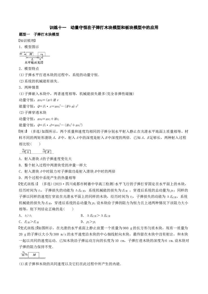 训练十一动量守恒在子弹打木块模型和板块模型中的应用-备战2024年高考物理一轮复习专题复习与训练(原卷版）_4.2025物理总复习_2024年新高考资料_3.2024专项复习