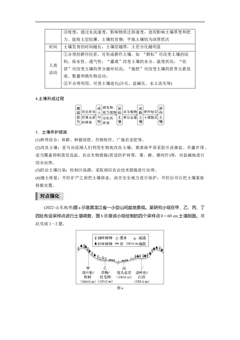 2023年高考地理二轮复习（全国版）第1部分专题突破专题5微专题9　土壤_9.2025地理总复习_赠品通用版（老高考）复习资料_二轮复习_2023年高考地理二轮复习讲义+课件（全国版）