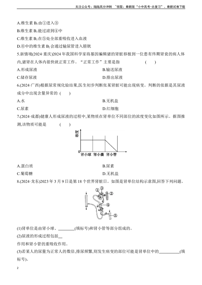 第13讲　人体内废物的排出2025年中考生物学专题练习（含答案）_02中考总复习（2026版更新中）_08-生物-中考总复习_2025中考复习资料_2025年中考生物学专题练习(含答案)