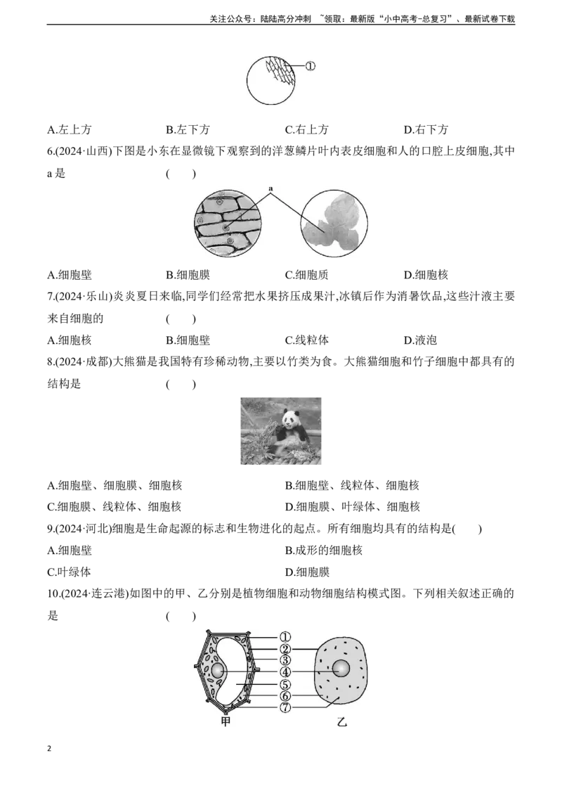 第03讲　细胞是生命活动的基本单位2025年中考生物学专题练习（含答案）_02中考总复习（2026版更新中）_08-生物-中考总复习_2025中考复习资料_2025年中考生物学专题练习(含答案)