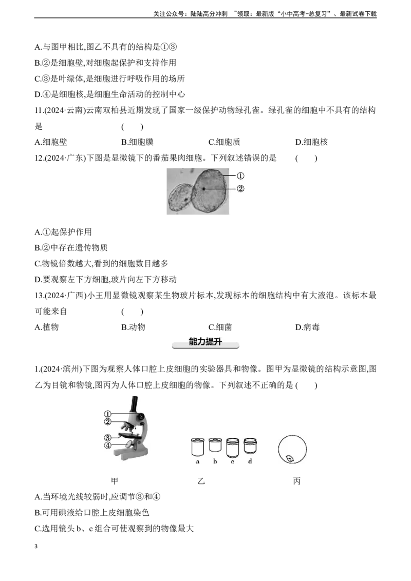 第03讲　细胞是生命活动的基本单位2025年中考生物学专题练习（含答案）_02中考总复习（2026版更新中）_08-生物-中考总复习_2025中考复习资料_2025年中考生物学专题练习(含答案)
