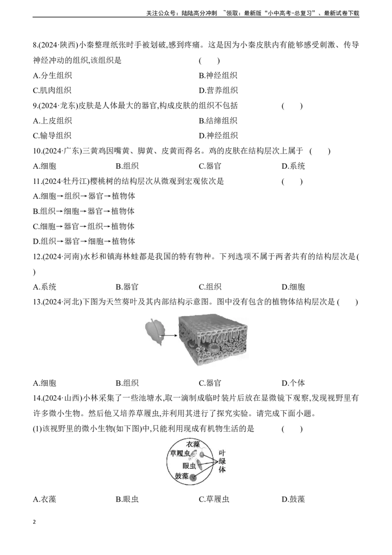 第04讲　细胞怎样构成生物体2025年中考生物学专题练习（含答案）_02中考总复习（2026版更新中）_08-生物-中考总复习_2025中考复习资料_2025年中考生物学专题练习(含答案)