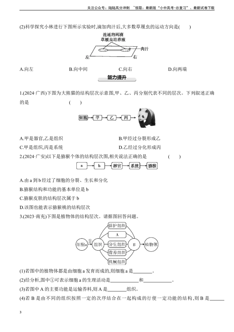 第04讲　细胞怎样构成生物体2025年中考生物学专题练习（含答案）_02中考总复习（2026版更新中）_08-生物-中考总复习_2025中考复习资料_2025年中考生物学专题练习(含答案)