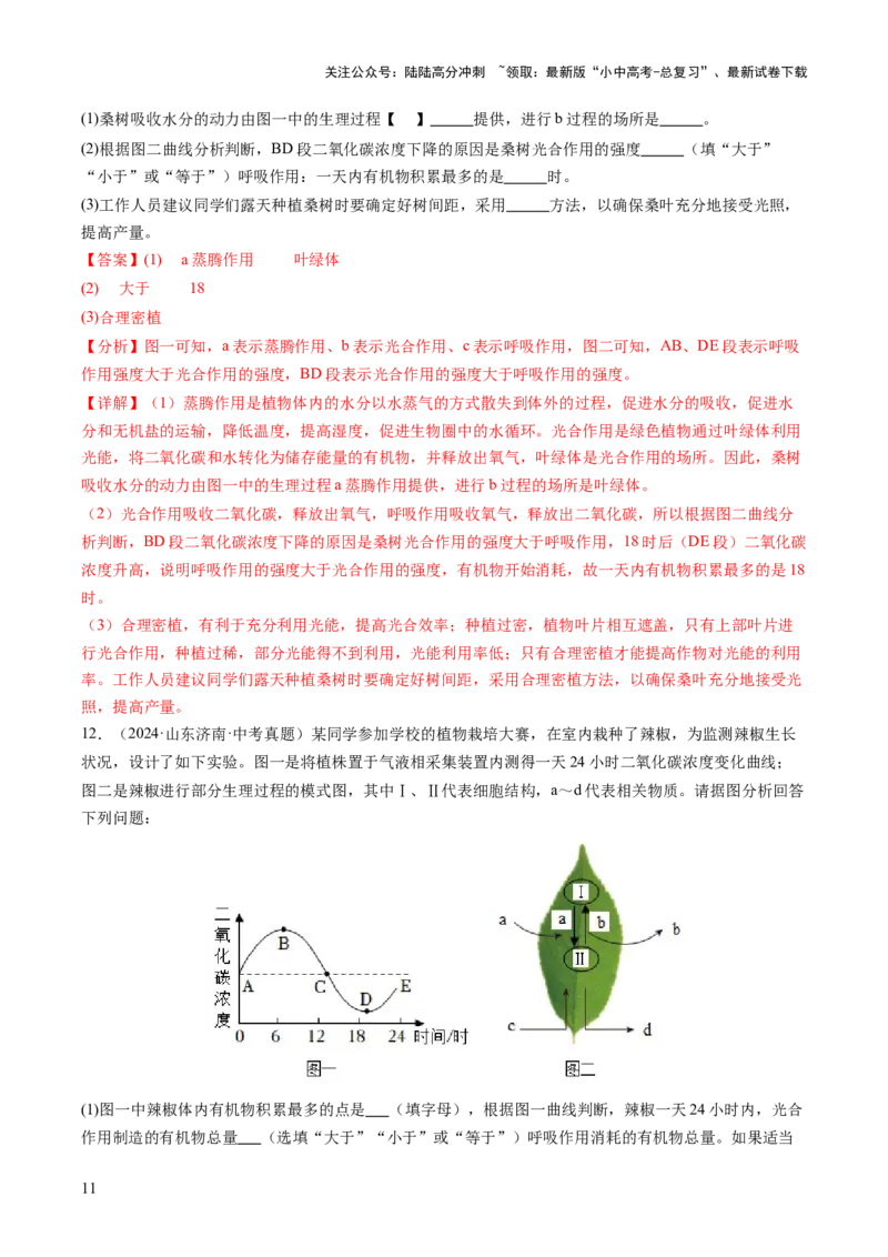 热点突破02植物的三大作用（讲练）（解析版）_02中考总复习（2026版更新中）_08-生物-中考总复习_2025中考复习资料_2025中考二轮课件ppt+讲义+练习生物_讲义+练习