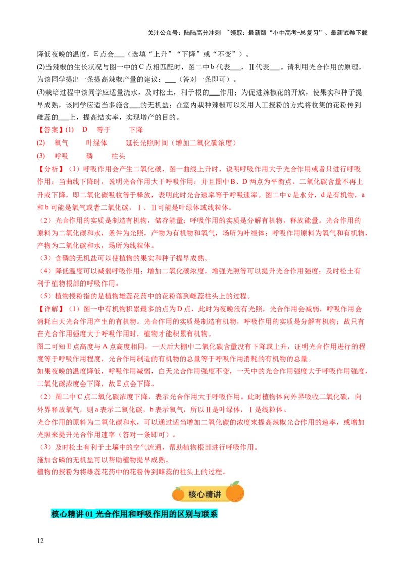 热点突破02植物的三大作用（讲练）（解析版）_02中考总复习（2026版更新中）_08-生物-中考总复习_2025中考复习资料_2025中考二轮课件ppt+讲义+练习生物_讲义+练习