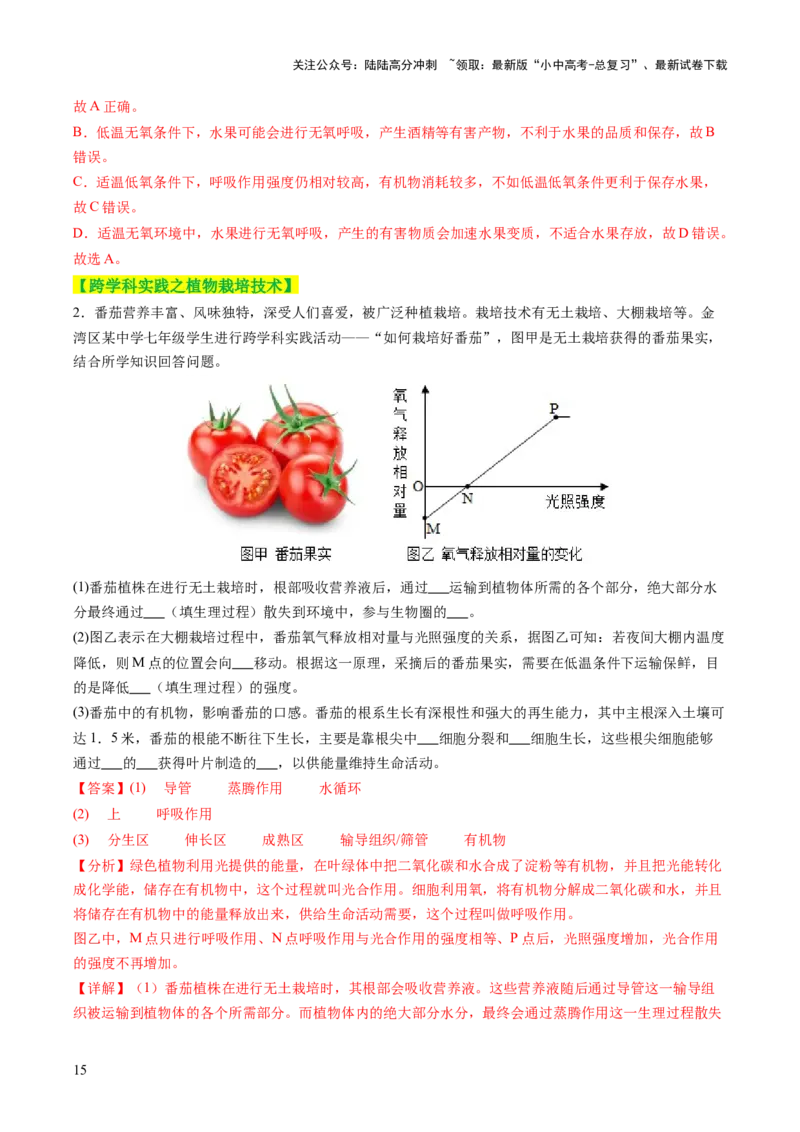 热点突破02植物的三大作用（讲练）（解析版）_02中考总复习（2026版更新中）_08-生物-中考总复习_2025中考复习资料_2025中考二轮课件ppt+讲义+练习生物_讲义+练习