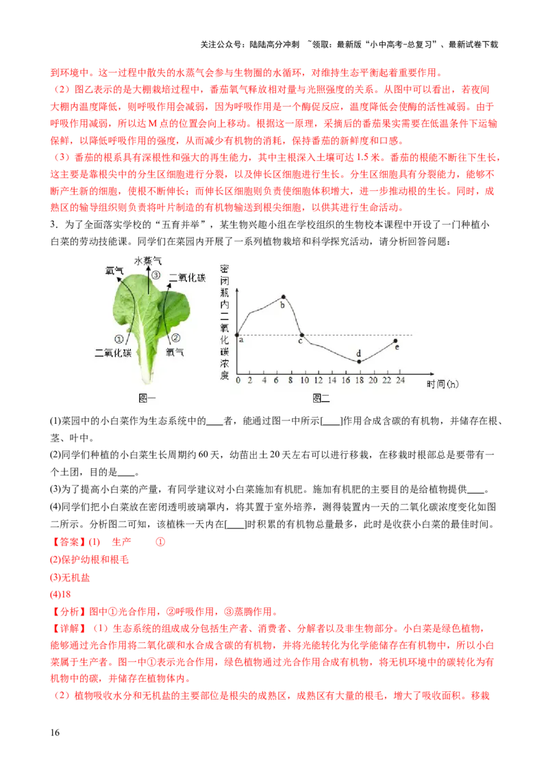 热点突破02植物的三大作用（讲练）（解析版）_02中考总复习（2026版更新中）_08-生物-中考总复习_2025中考复习资料_2025中考二轮课件ppt+讲义+练习生物_讲义+练习