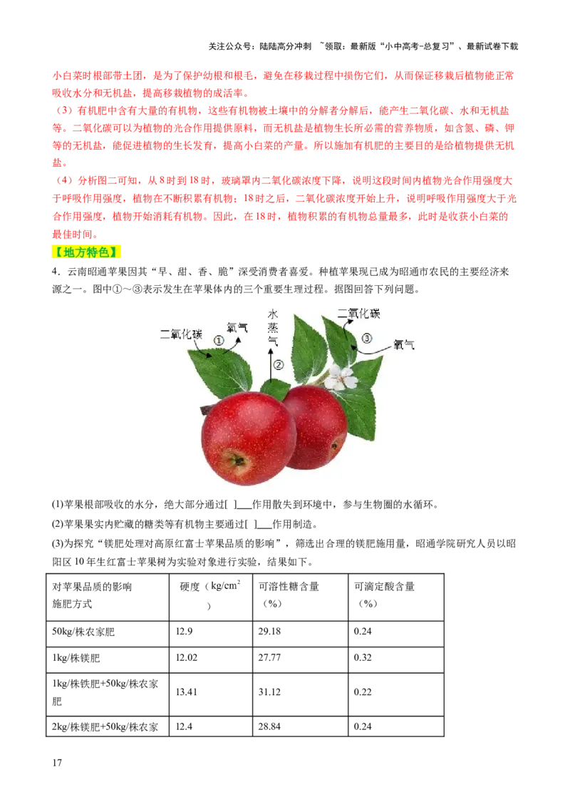 热点突破02植物的三大作用（讲练）（解析版）_02中考总复习（2026版更新中）_08-生物-中考总复习_2025中考复习资料_2025中考二轮课件ppt+讲义+练习生物_讲义+练习