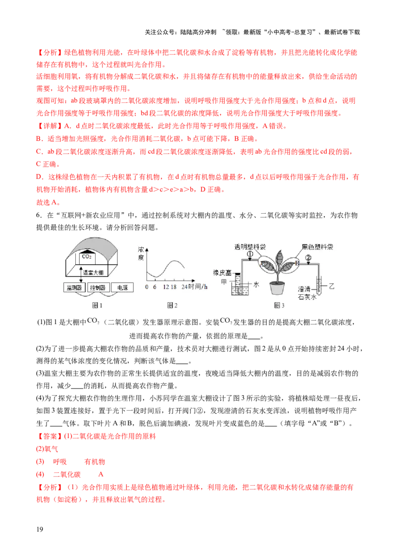 热点突破02植物的三大作用（讲练）（解析版）_02中考总复习（2026版更新中）_08-生物-中考总复习_2025中考复习资料_2025中考二轮课件ppt+讲义+练习生物_讲义+练习