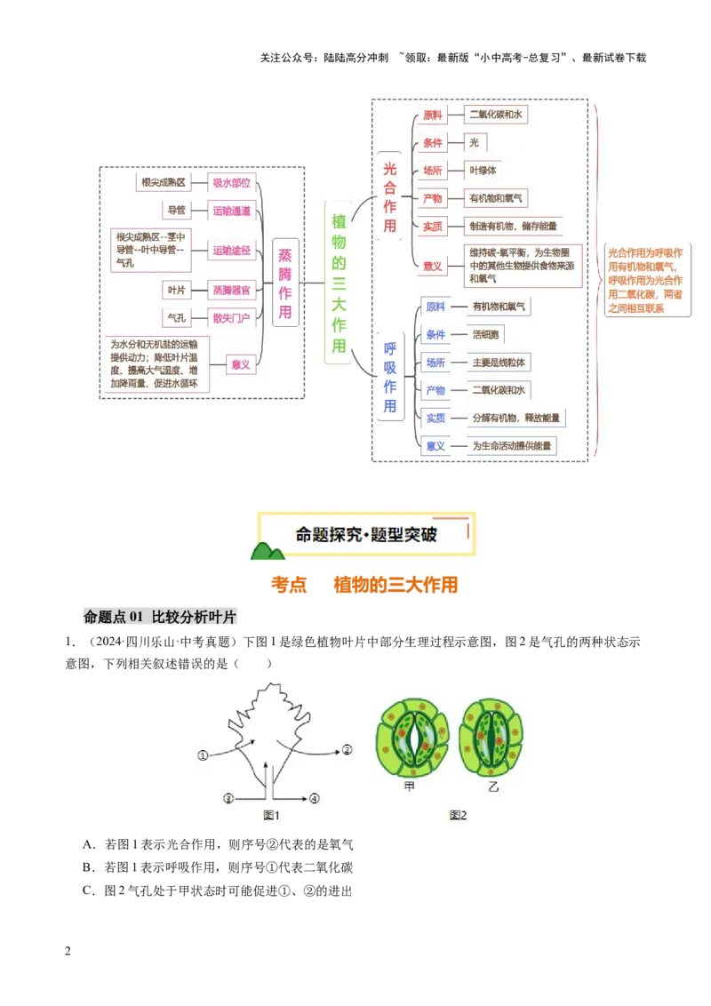 热点突破02植物的三大作用（讲练）（解析版）_02中考总复习（2026版更新中）_08-生物-中考总复习_2025中考复习资料_2025中考二轮课件ppt+讲义+练习生物_讲义+练习