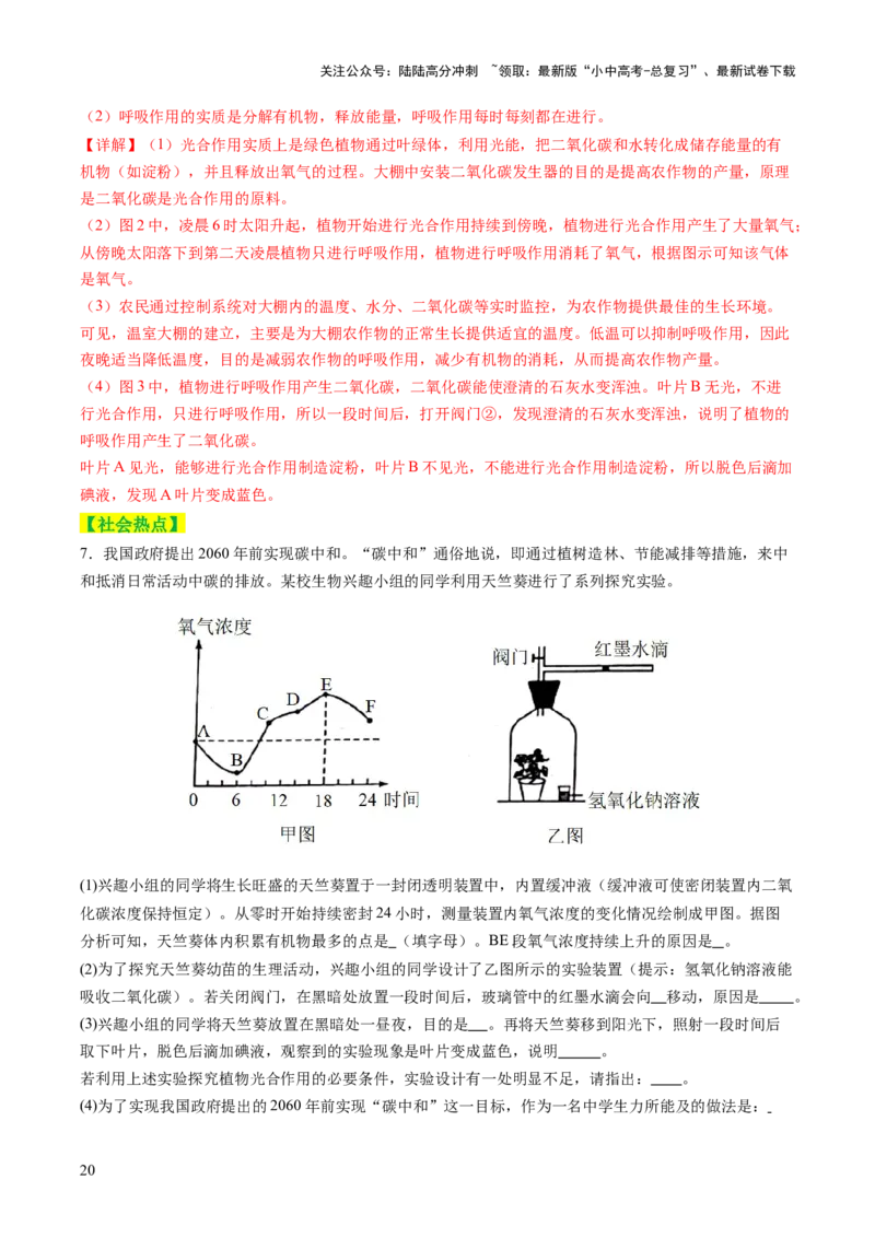 热点突破02植物的三大作用（讲练）（解析版）_02中考总复习（2026版更新中）_08-生物-中考总复习_2025中考复习资料_2025中考二轮课件ppt+讲义+练习生物_讲义+练习