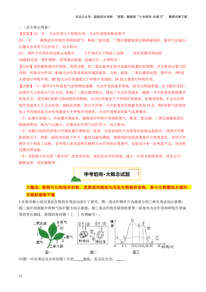 热点突破02植物的三大作用（讲练）（解析版）_02中考总复习（2026版更新中）_08-生物-中考总复习_2025中考复习资料_2025中考二轮课件ppt+讲义+练习生物_讲义+练习