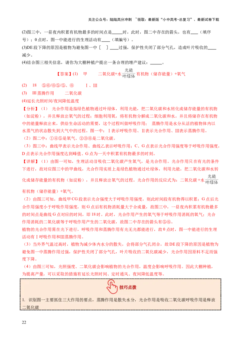 热点突破02植物的三大作用（讲练）（解析版）_02中考总复习（2026版更新中）_08-生物-中考总复习_2025中考复习资料_2025中考二轮课件ppt+讲义+练习生物_讲义+练习