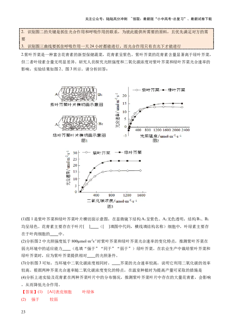热点突破02植物的三大作用（讲练）（解析版）_02中考总复习（2026版更新中）_08-生物-中考总复习_2025中考复习资料_2025中考二轮课件ppt+讲义+练习生物_讲义+练习