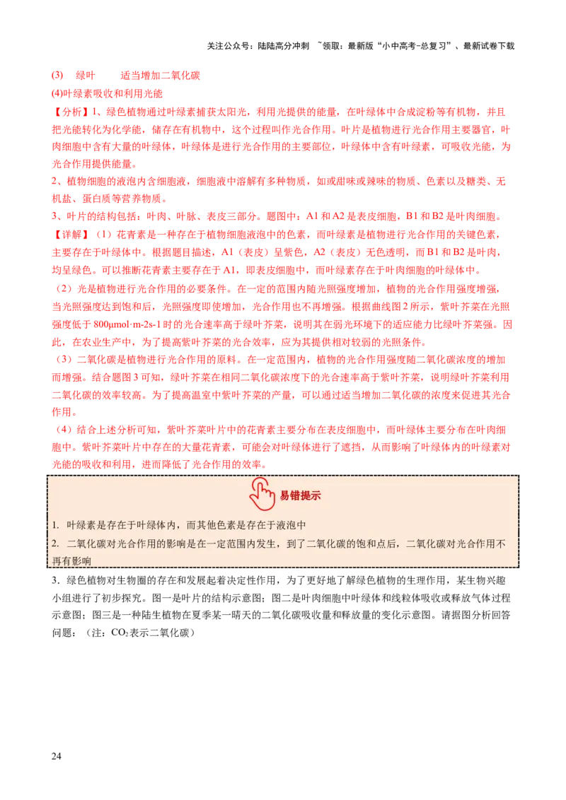 热点突破02植物的三大作用（讲练）（解析版）_02中考总复习（2026版更新中）_08-生物-中考总复习_2025中考复习资料_2025中考二轮课件ppt+讲义+练习生物_讲义+练习