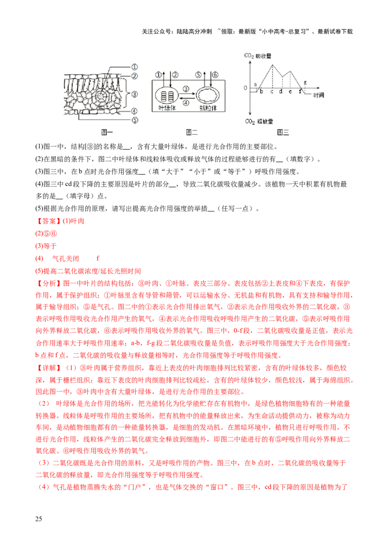 热点突破02植物的三大作用（讲练）（解析版）_02中考总复习（2026版更新中）_08-生物-中考总复习_2025中考复习资料_2025中考二轮课件ppt+讲义+练习生物_讲义+练习