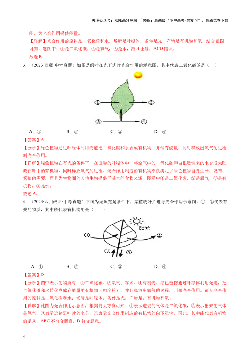 热点突破02植物的三大作用（讲练）（解析版）_02中考总复习（2026版更新中）_08-生物-中考总复习_2025中考复习资料_2025中考二轮课件ppt+讲义+练习生物_讲义+练习