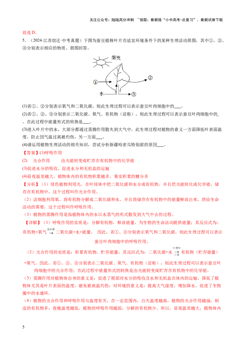 热点突破02植物的三大作用（讲练）（解析版）_02中考总复习（2026版更新中）_08-生物-中考总复习_2025中考复习资料_2025中考二轮课件ppt+讲义+练习生物_讲义+练习