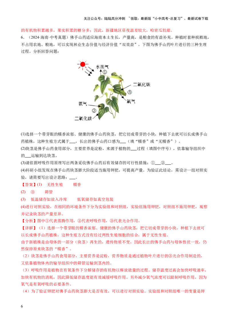 热点突破02植物的三大作用（讲练）（解析版）_02中考总复习（2026版更新中）_08-生物-中考总复习_2025中考复习资料_2025中考二轮课件ppt+讲义+练习生物_讲义+练习
