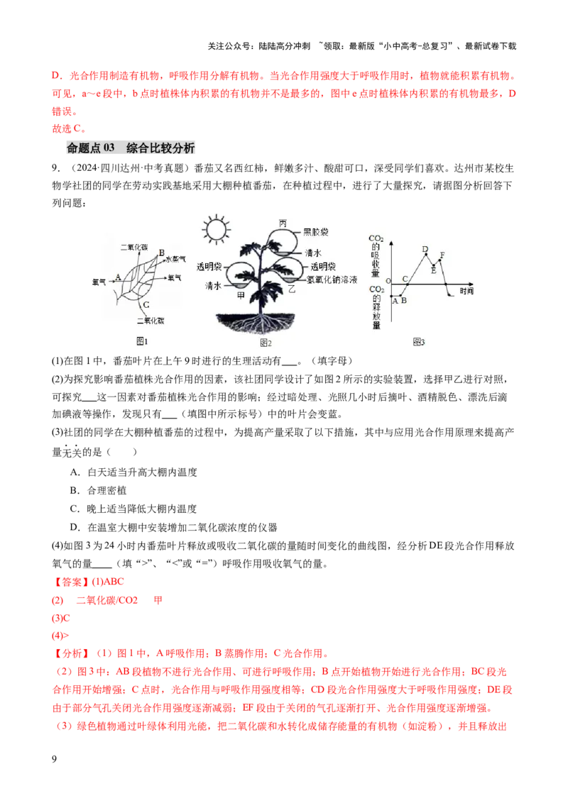 热点突破02植物的三大作用（讲练）（解析版）_02中考总复习（2026版更新中）_08-生物-中考总复习_2025中考复习资料_2025中考二轮课件ppt+讲义+练习生物_讲义+练习