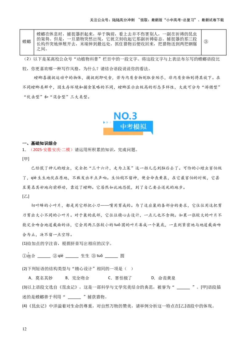 第06讲《昆虫记》整本书阅读(练习）（原卷版）_02中考总复习（2026版更新中）_01-语文-中考总复习_2026年中考复习（更新中）_2026年中考语文一轮复习名著阅读