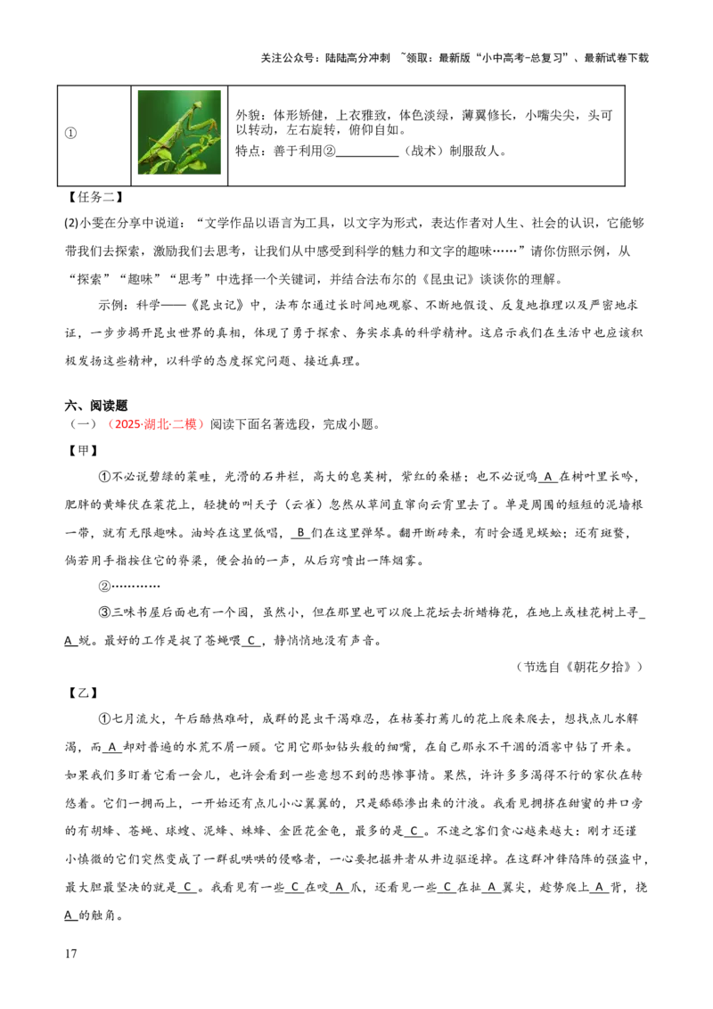 第06讲《昆虫记》整本书阅读(练习）（原卷版）_02中考总复习（2026版更新中）_01-语文-中考总复习_2026年中考复习（更新中）_2026年中考语文一轮复习名著阅读