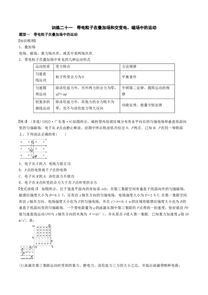 训练二十一带电粒子在叠加场和交变电、磁场中的运动-备战2024年高考物理一轮复习专题复习与训练(原卷版）_4.2025物理总复习_2024年新高考资料_3.2024专项复习
