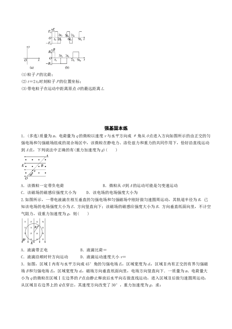 训练二十一带电粒子在叠加场和交变电、磁场中的运动-备战2024年高考物理一轮复习专题复习与训练(原卷版）_4.2025物理总复习_2024年新高考资料_3.2024专项复习