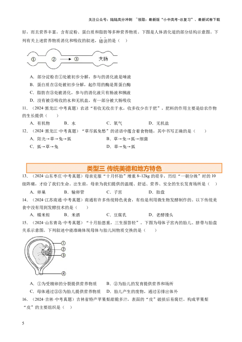 热点趋向01传统文化（讲练）（原卷版）_02中考总复习（2026版更新中）_08-生物-中考总复习_2025中考复习资料_2025中考二轮课件ppt+讲义+练习生物_测试