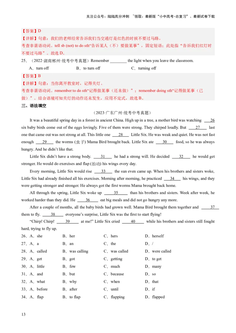 第06讲非谓语动词之动词不定式（练习）-2024年中考英语一轮复习讲练测（全国通用）（解析版）_02中考总复习（2026版更新中）_03-英语-中考总复习_2024年中考复习资料_一轮复习