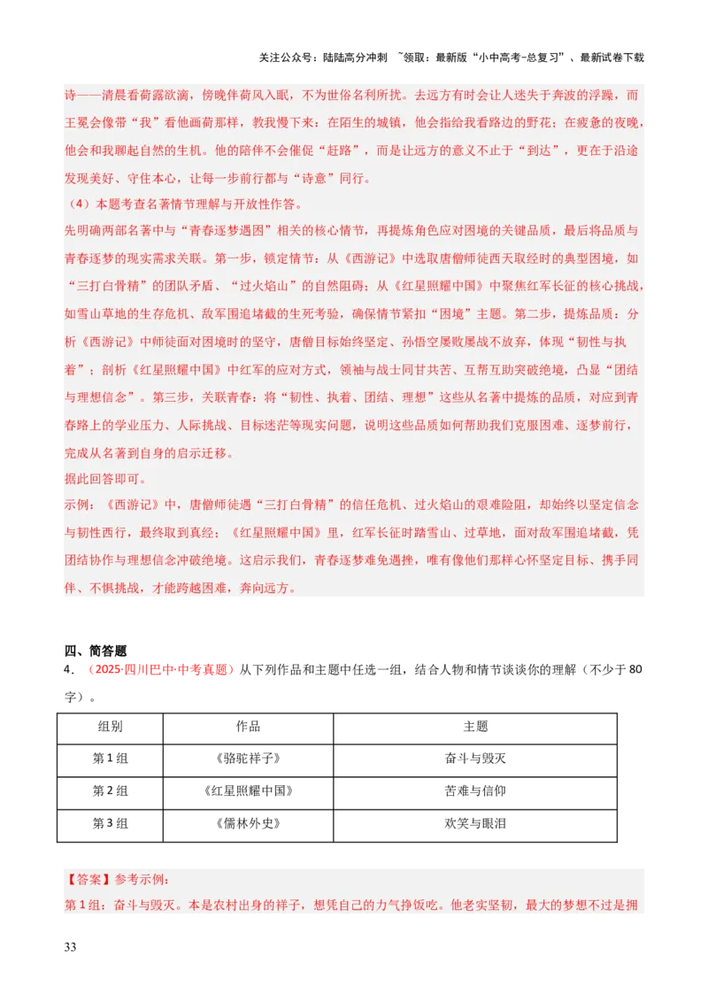 第11讲《儒林外史》整本书阅读(练习）（解析版）_02中考总复习（2026版更新中）_01-语文-中考总复习_2026年中考复习（更新中）_2026年中考语文一轮复习名著阅读