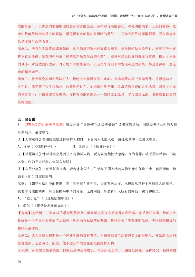 第11讲《儒林外史》整本书阅读(练习）（解析版）_02中考总复习（2026版更新中）_01-语文-中考总复习_2026年中考复习（更新中）_2026年中考语文一轮复习名著阅读