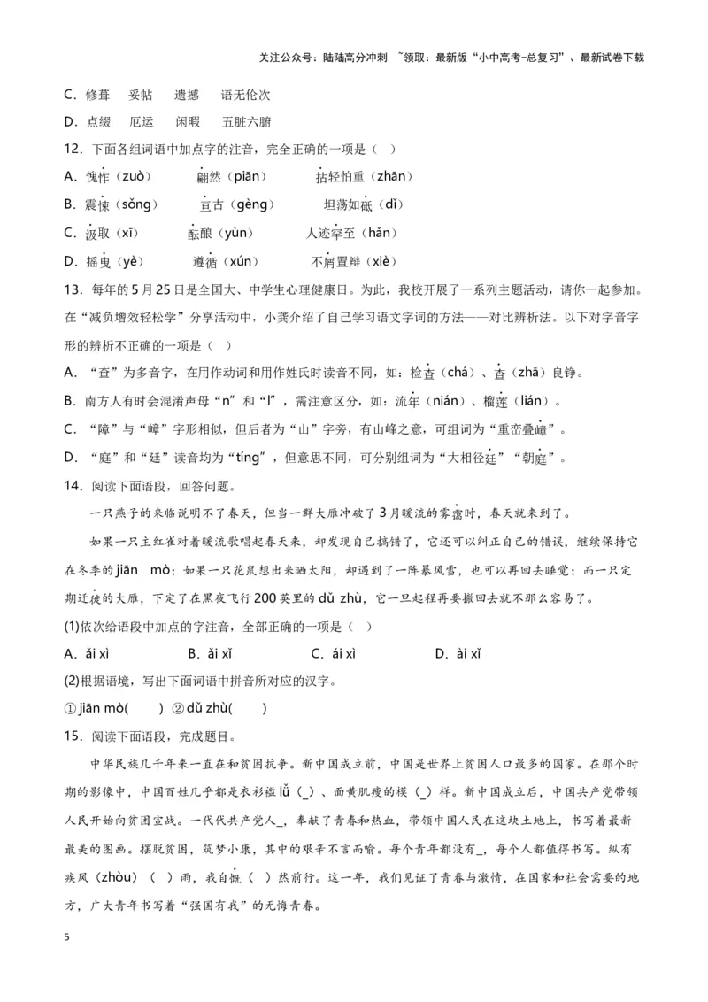 第1关：字音字形（解析版）-2024年中考语文一轮复习题型专练_02中考总复习（2026版更新中）_01-语文-中考总复习_2024年中考资料_一轮复习_配套题型专练（原卷版+解析版）_答案解析版