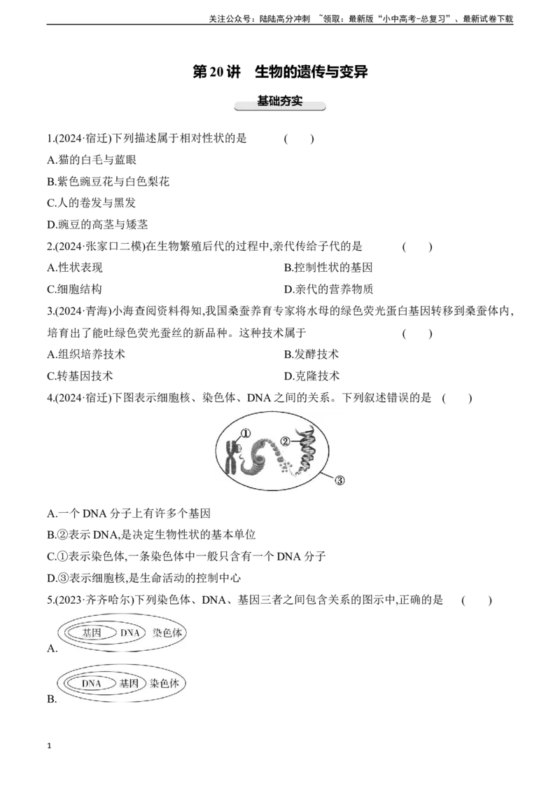 第20讲　生物的遗传与变异2025年中考生物学专题练习（含答案）_02中考总复习（2026版更新中）_08-生物-中考总复习_2025中考复习资料_2025年中考生物学专题练习(含答案)