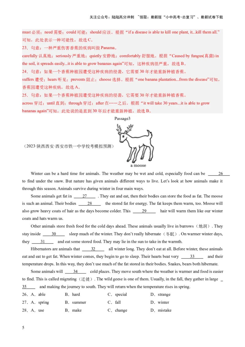 第03讲完形填空之说明文（练习）-2024年中考英语一轮复习讲练测（全国通用）（解析版）_02中考总复习（2026版更新中）_03-英语-中考总复习_2024年中考复习资料_一轮复习