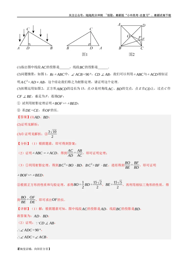 第21讲相似三角形及其应用（练习）（解析版）_02中考总复习（2026版更新中）_02-数学-中考总复习_2024年中考复习资料_一轮复习资料_配套练习（原卷版+解析版）_教师版（含答案解析）