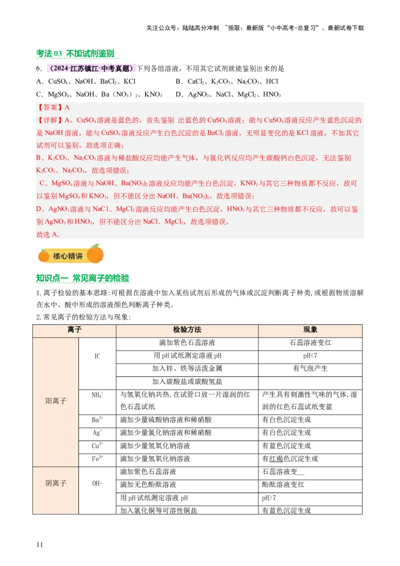 热点突破物质的共存、检验、鉴别和分离（讲练）（解析版）_02中考总复习（2026版更新中）_05-化学-中考总复习_2025年中考复习资料_2025中考二轮课件ppt+讲义+练习化学_讲义+练习