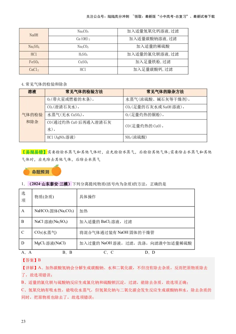 热点突破物质的共存、检验、鉴别和分离（讲练）（解析版）_02中考总复习（2026版更新中）_05-化学-中考总复习_2025年中考复习资料_2025中考二轮课件ppt+讲义+练习化学_讲义+练习