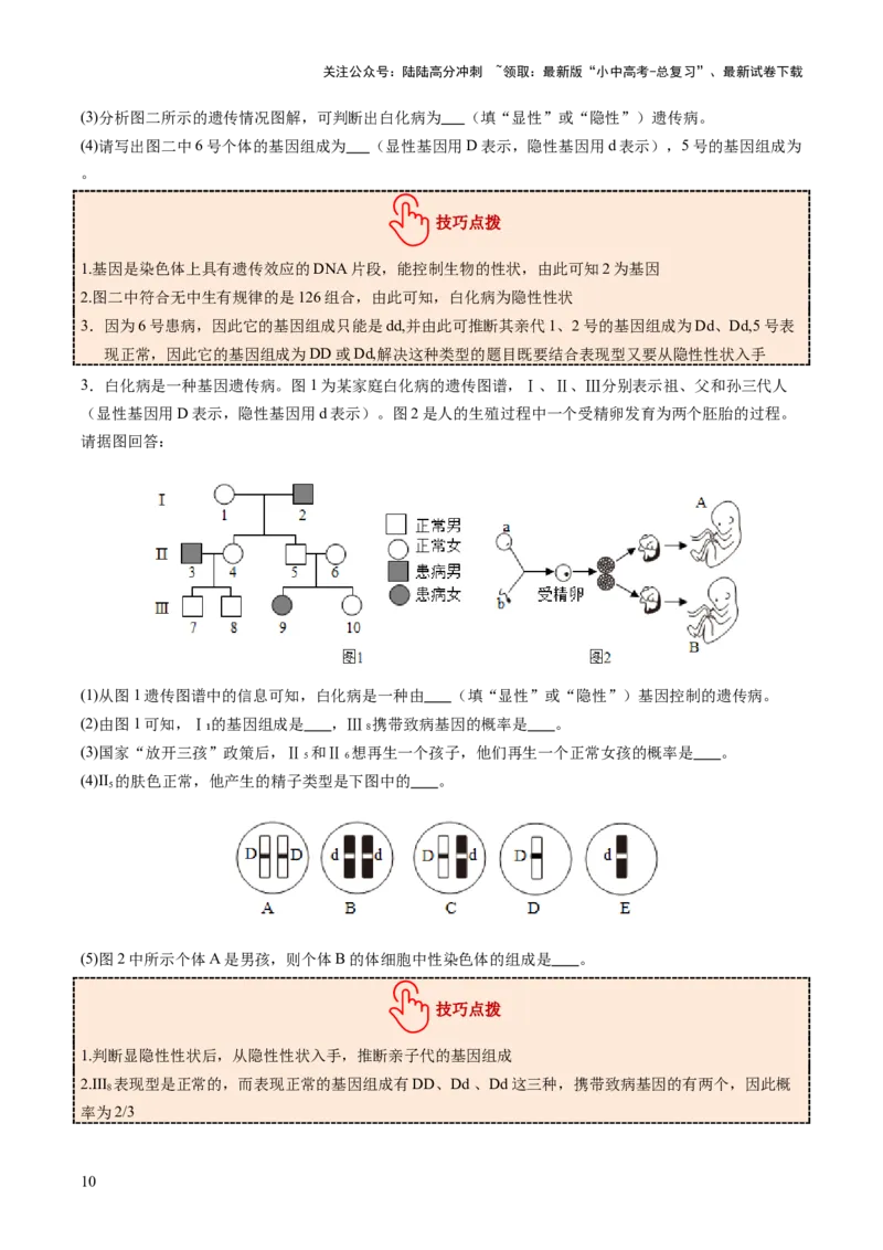 热点突破04基因组成及概率计算（讲练）（原卷版）_02中考总复习（2026版更新中）_08-生物-中考总复习_2025中考复习资料_2025中考二轮课件ppt+讲义+练习生物_讲义+练习